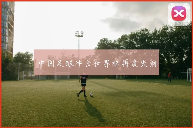 中国足球冲击世界杯再度失利