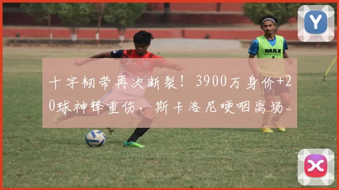 十字韧带再次断裂！3900万身价+20球神锋重伤，斯卡洛尼哽咽离场_帕尼_世界杯_球员